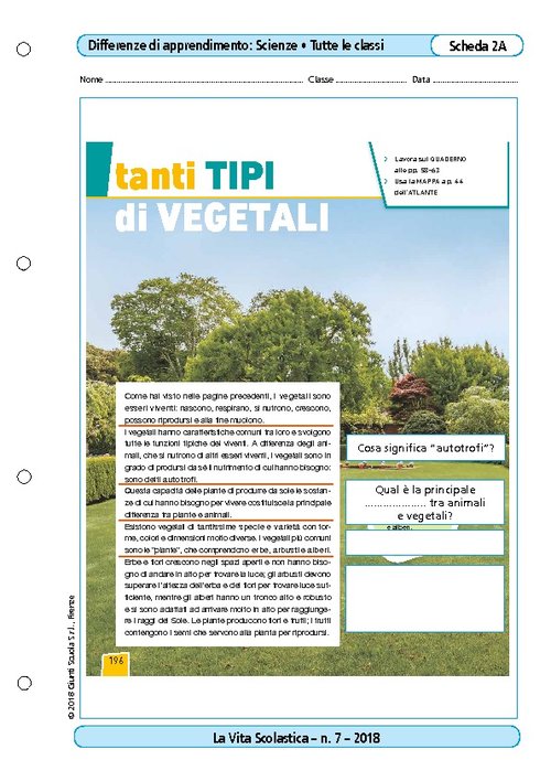 Tanti tipi di vegetali | Giunti Scuola Tanti tipi di vegetali | Giunti Scuola
