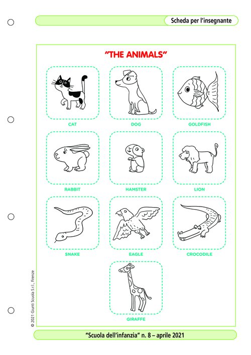 "The Animals" - Flashcards | Giunti Scuola