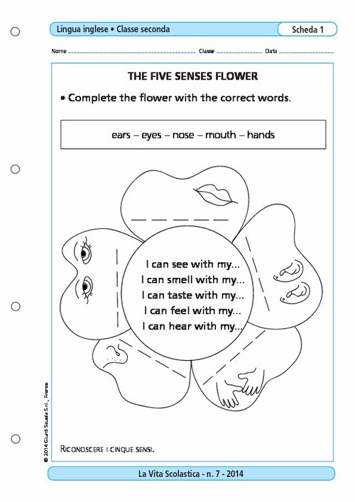 The five senses flower | Giunti Scuola The five senses flower | Giunti Scuola