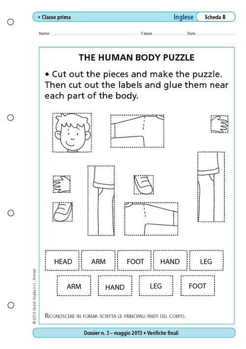 The human body puzzle | Giunti Scuola