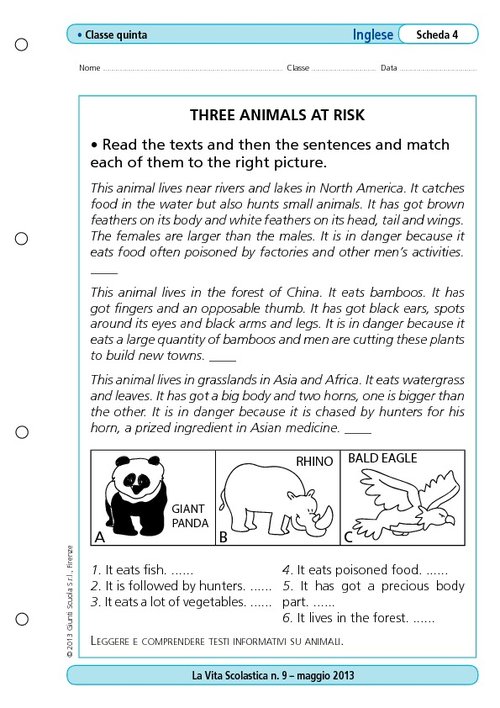 Three animals at risk | Giunti Scuola Three animals at risk | Giunti Scuola