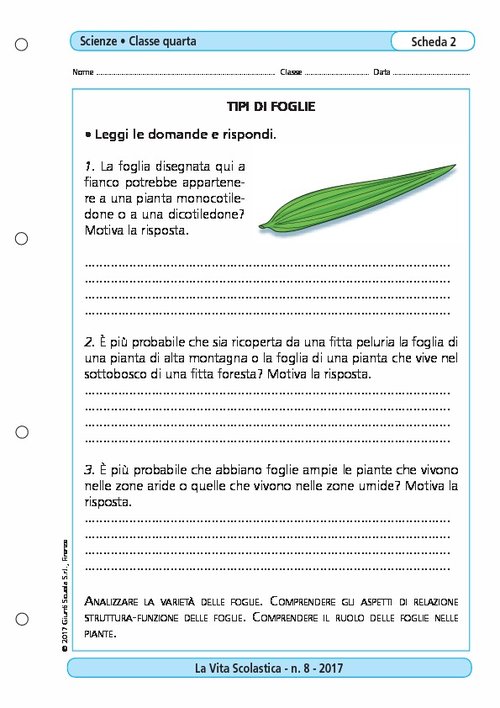 Tipi di foglie | Giunti Scuola Tipi di foglie | Giunti Scuola