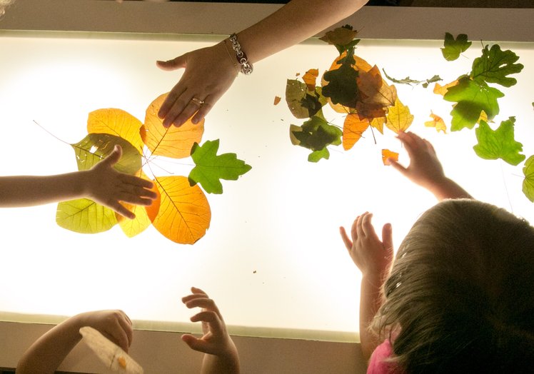 Tra osservazioni e scoperte: il Nido interaziendale Bambini Bicocca | Giunti Scuola Tra osservazioni e scoperte: il Nido interaziendale Bambini Bicocca | Giunti Scuola