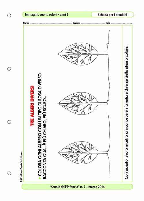 Tre alberi diversi | Giunti Scuola Tre alberi diversi | Giunti Scuola