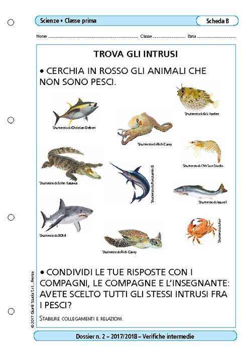 Trova gli intrusi | Giunti Scuola