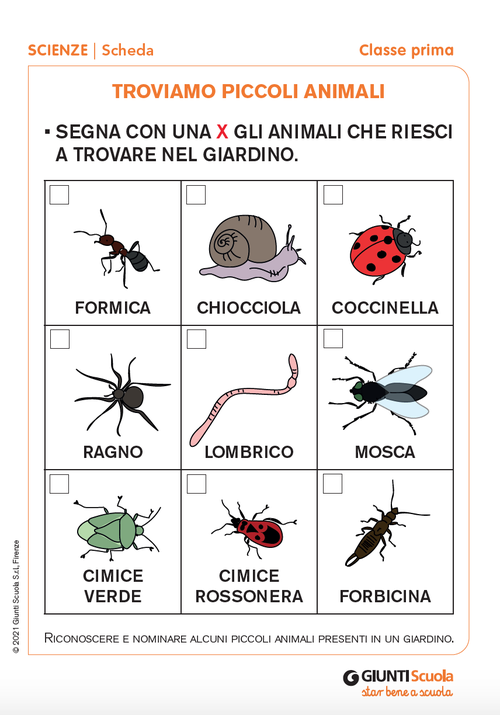 Troviamo piccoli animali. | Giunti Scuola Troviamo piccoli animali. | Giunti Scuola