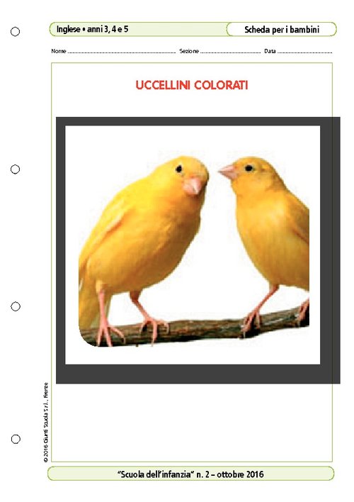 Uccellini colorati | Giunti Scuola Uccellini colorati | Giunti Scuola