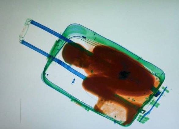 Un bambino dentro una valigia | Giunti Scuola