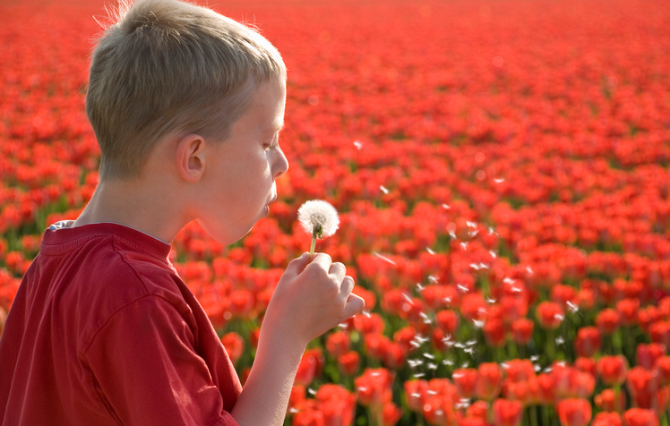 Un corso di formazione sui disturbi dello spettro autistico | Giunti Scuola