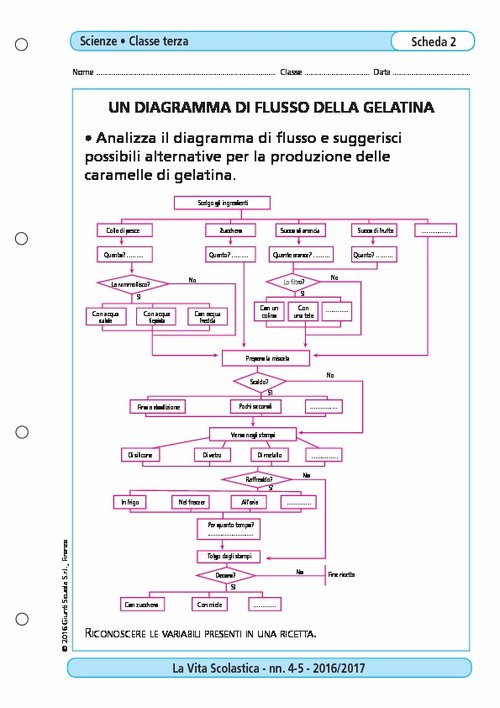 Un diagramma di flusso della gelatina | Giunti Scuola