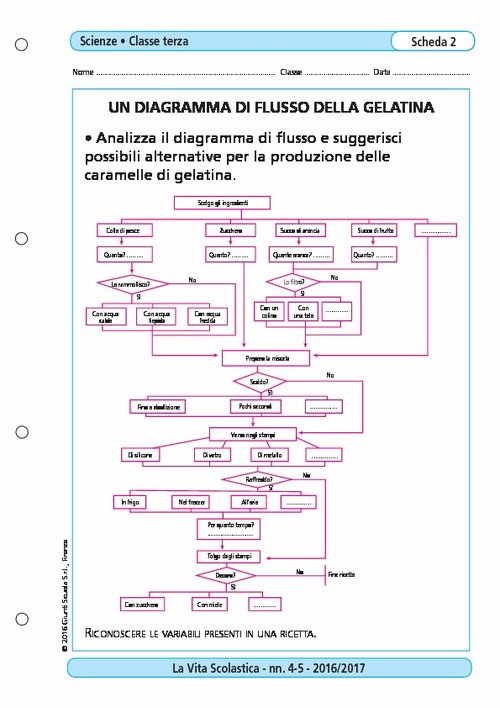 Un diagramma di flusso della gelatina | Giunti Scuola Un diagramma di flusso della gelatina | Giunti Scuola