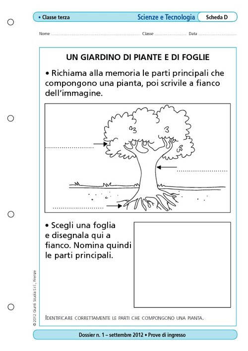 Un giardino di piante e di foglie | Giunti Scuola Un giardino di piante e di foglie | Giunti Scuola