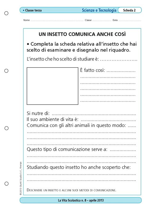 Un insetto comunica anche così | Giunti Scuola Un insetto comunica anche così | Giunti Scuola