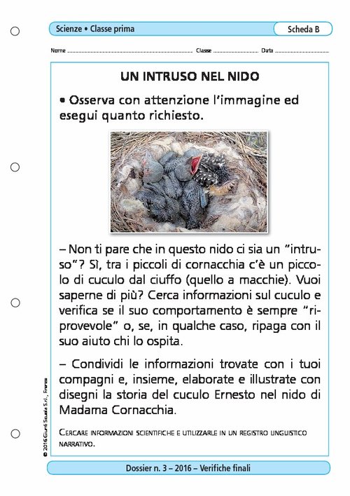 Un intruso nel nido | Giunti Scuola Un intruso nel nido | Giunti Scuola