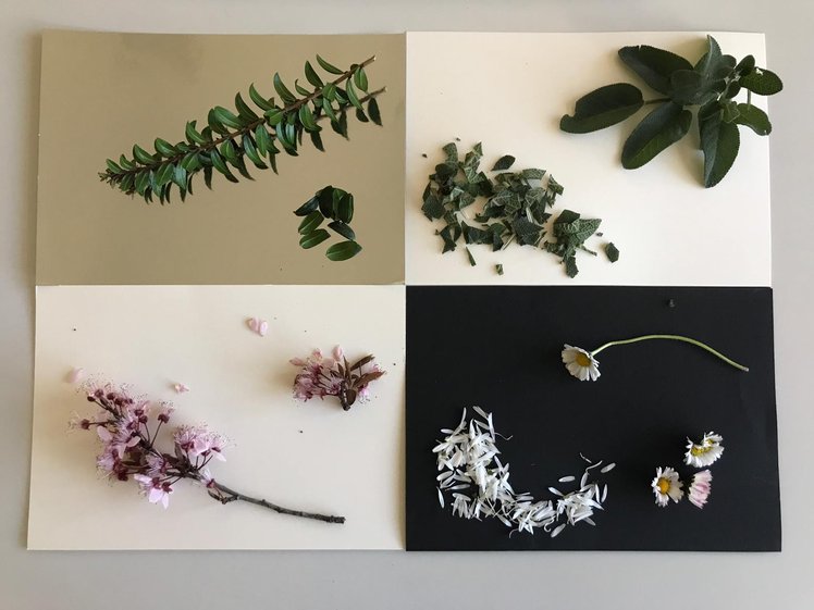 Un laboratorio primaverile di “tasche piene” | Giunti Scuola Un laboratorio primaverile di “tasche piene” | Giunti Scuola