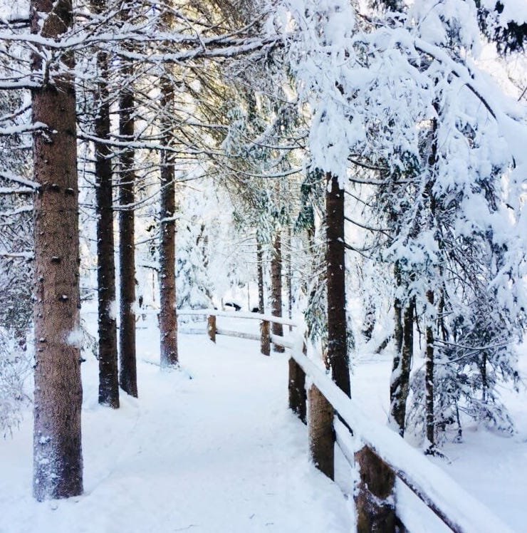 Un miracolo piccolo, come la neve | Giunti Scuola Un miracolo piccolo, come la neve | Giunti Scuola