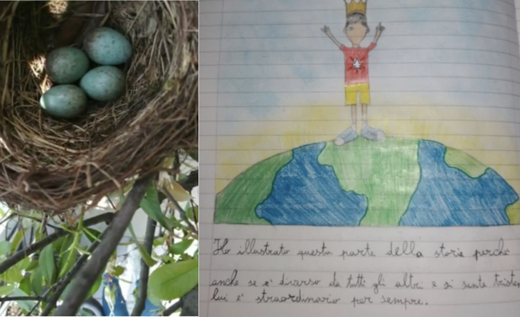 Un nido di merli e altri incontri: c’è vita sulla piattaforma | Giunti Scuola Un nido di merli e altri incontri: c’è vita sulla piattaforma | Giunti Scuola