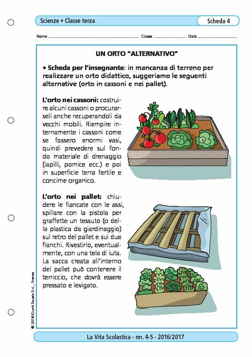 Un orto "alternativo" | Giunti Scuola