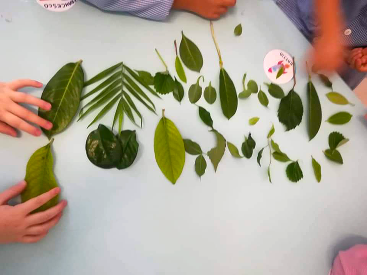 Un percorso nel verde con il pittore Henri Rousseau | Giunti Scuola Un percorso nel verde con il pittore Henri Rousseau | Giunti Scuola