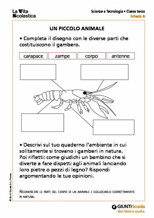 Un piccolo animale | Giunti Scuola Un piccolo animale | Giunti Scuola