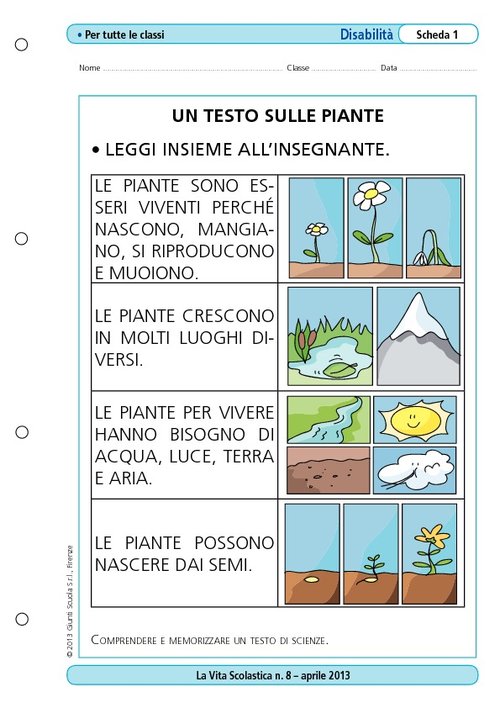 Un testo sulle piante | Giunti Scuola Un testo sulle piante | Giunti Scuola
