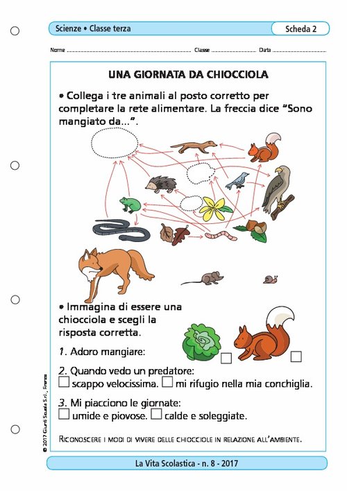 Una giornata da chiocciola | Giunti Scuola Una giornata da chiocciola | Giunti Scuola