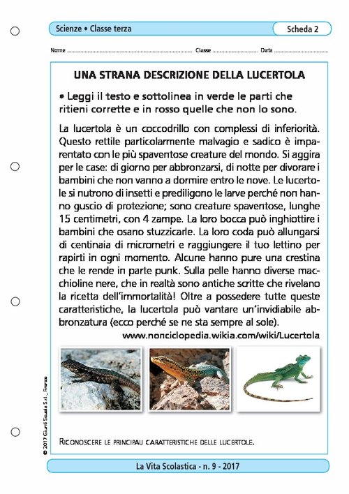 Una strana descrizione della lucertola | Giunti Scuola Una strana descrizione della lucertola | Giunti Scuola