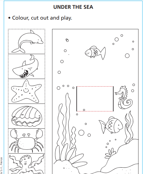 Under the sea | Giunti Scuola Under the sea | Giunti Scuola