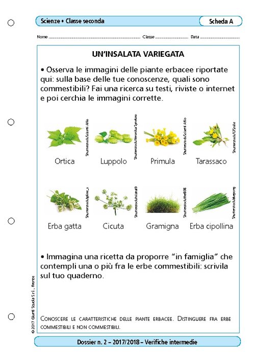 Un'insalata variegata | Giunti Scuola Un'insalata variegata | Giunti Scuola