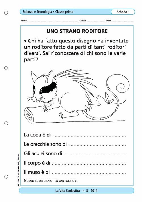 Uno strano roditore | Giunti Scuola Uno strano roditore | Giunti Scuola