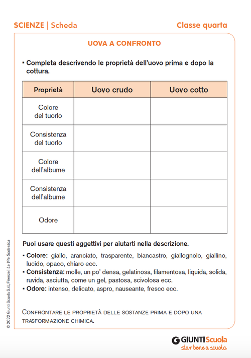 Uova a confronto | Giunti Scuola