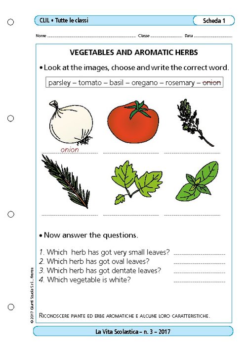 Vegetables and aromatic herbs | Giunti Scuola Vegetables and aromatic herbs | Giunti Scuola