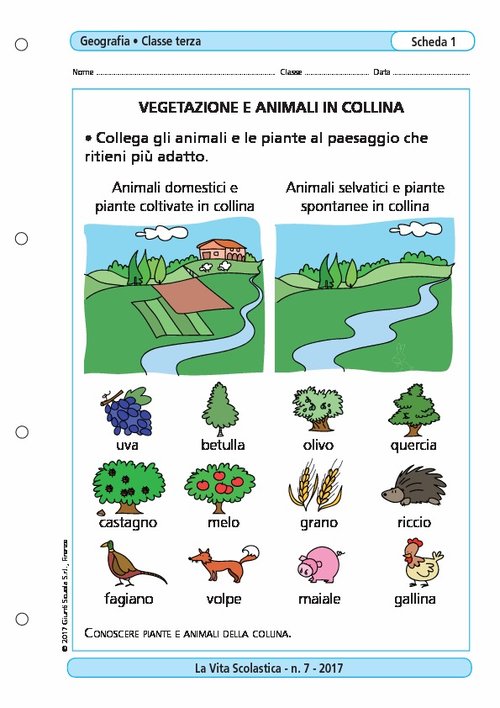 Vegetazione e animali in collina | Giunti Scuola Vegetazione e animali in collina | Giunti Scuola