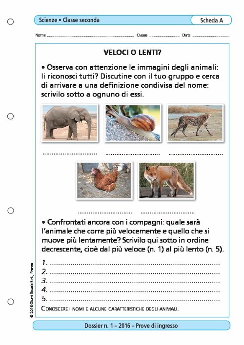 Veloci o lenti? | Giunti Scuola Veloci o lenti? | Giunti Scuola