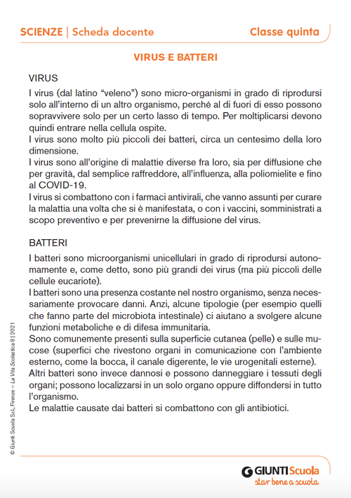 Virus e batteri | Giunti Scuola Virus e batteri | Giunti Scuola