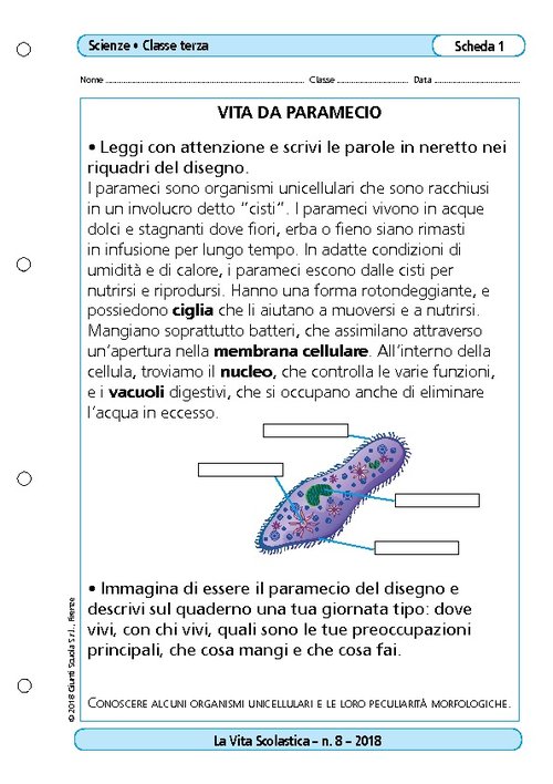 Vita da paramecio | Giunti Scuola