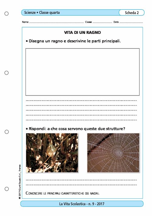 Vita di un ragno | Giunti Scuola Vita di un ragno | Giunti Scuola