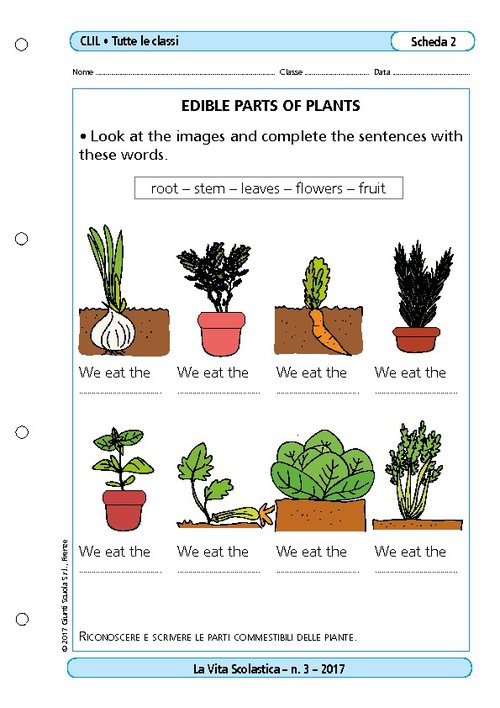 VS3_2017_CLIL_schede_2.pdf | Giunti Scuola VS3_2017_CLIL_schede_2.pdf | Giunti Scuola
