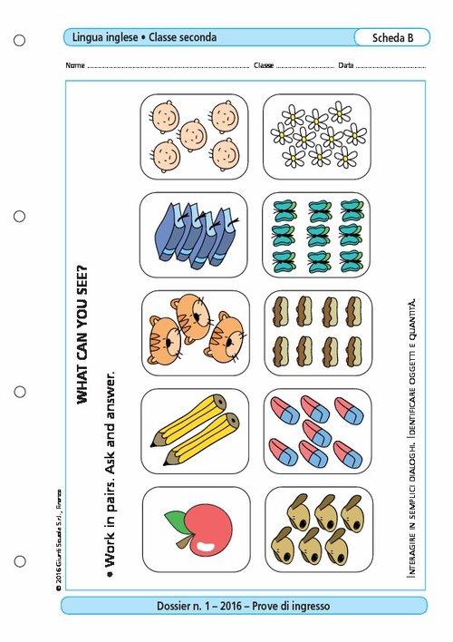 What can you see? | Giunti Scuola What can you see? | Giunti Scuola