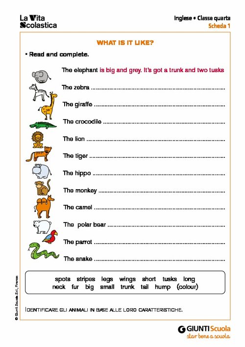 What is it like? | Giunti Scuola What is it like? | Giunti Scuola