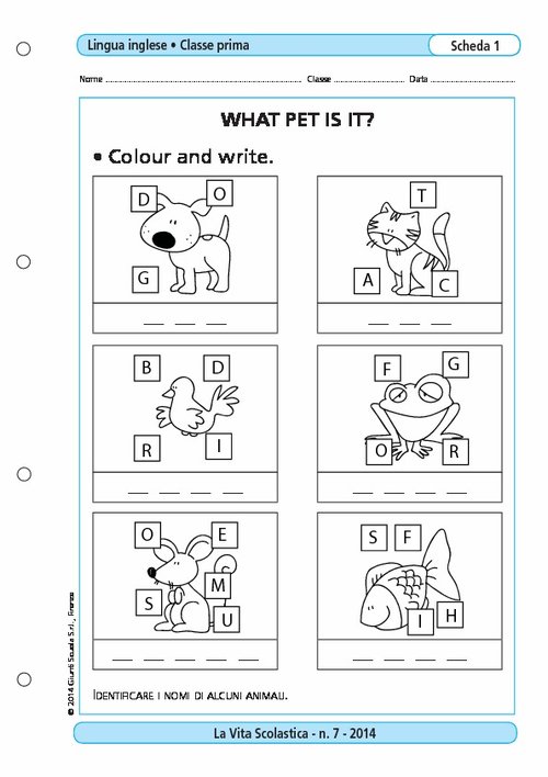 What pet is it? | Giunti Scuola What pet is it? | Giunti Scuola