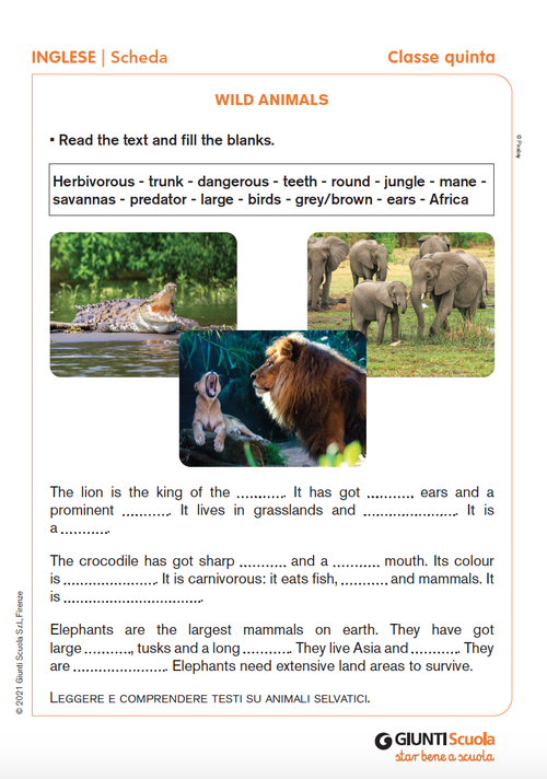 Wild animals | Giunti Scuola Wild animals | Giunti Scuola