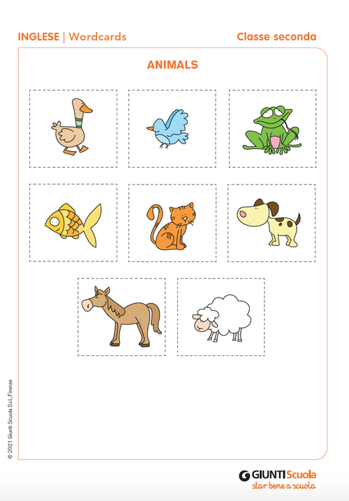 Wordcards: Animals | Giunti Scuola