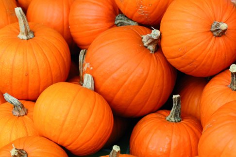 Zucca a sorpresa | Giunti Scuola Zucca a sorpresa | Giunti Scuola